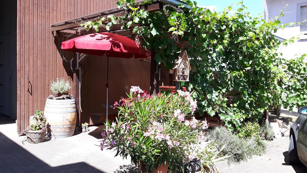 보츠부르크 Winzerhof Senn 아파트 외부 사진